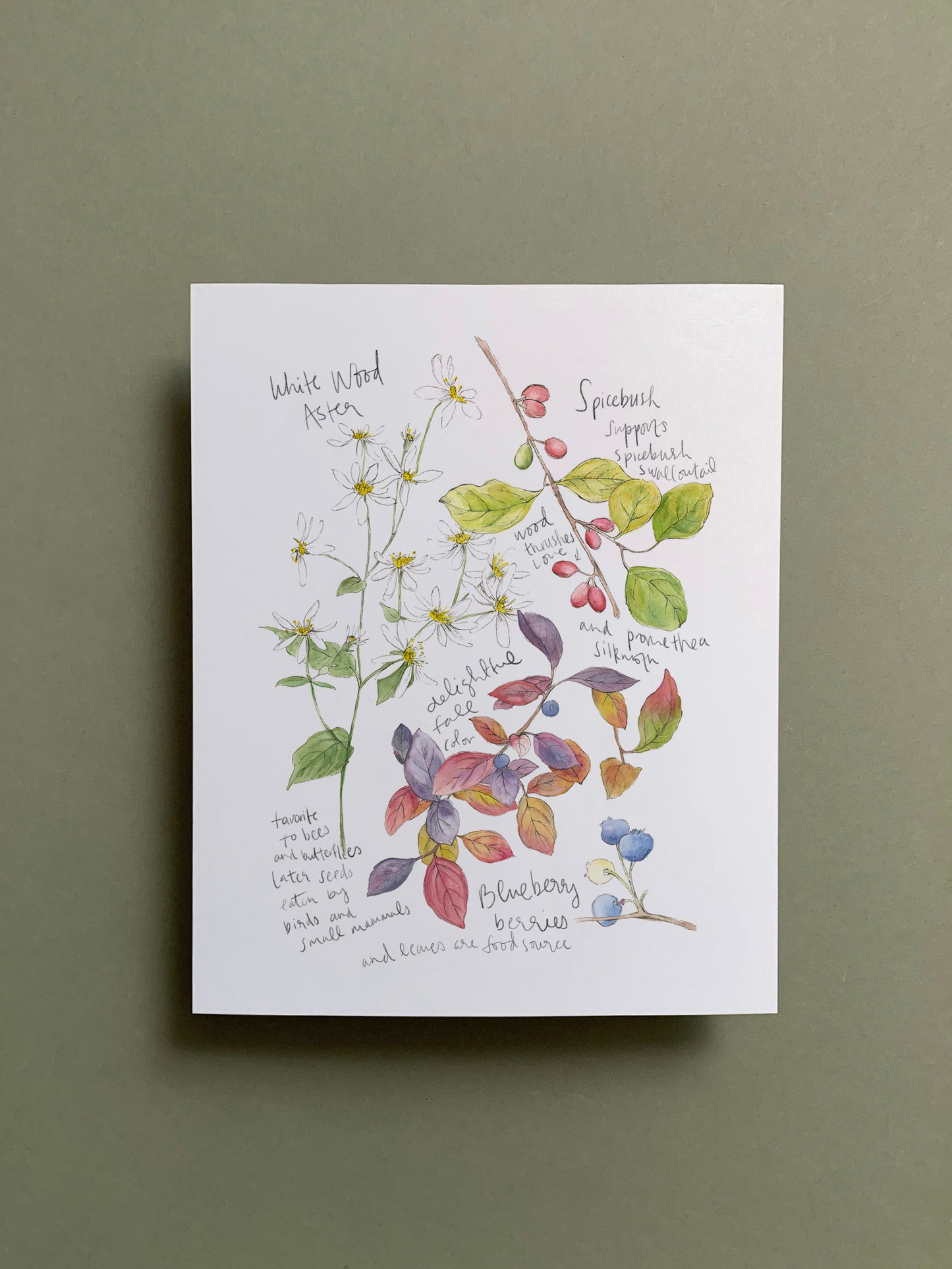 Botanical Drift Set of 4 8x10 Prints