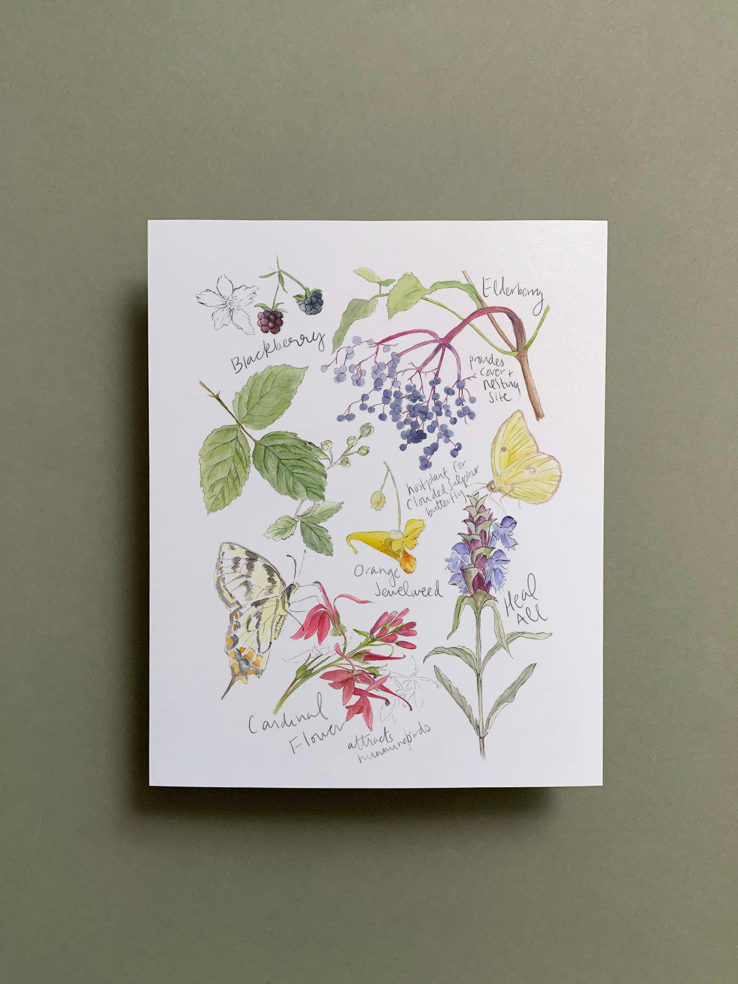 Botanical Drift Set of 4 8x10 Prints