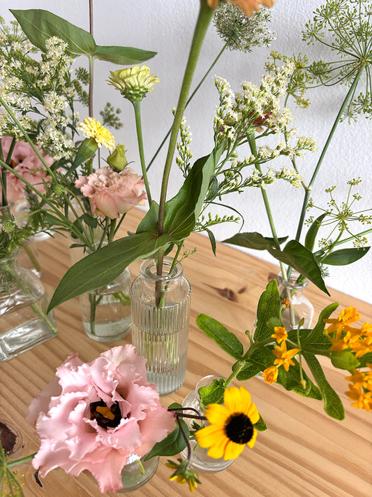 Buds & Blooms