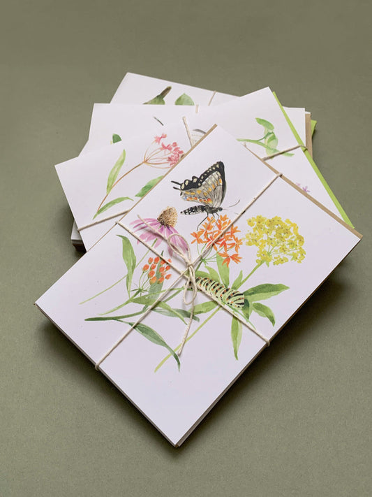 Swallowtails