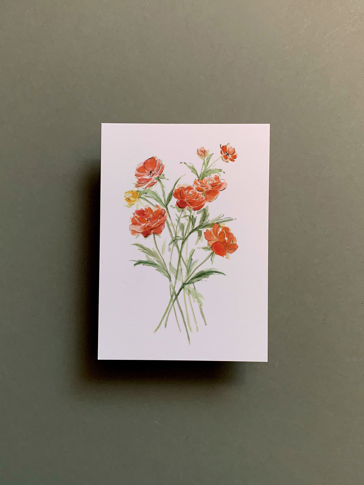 Ranunculus 5x7 Print